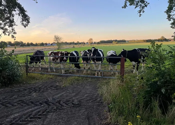 Heerlijk-huisje * Zandschel