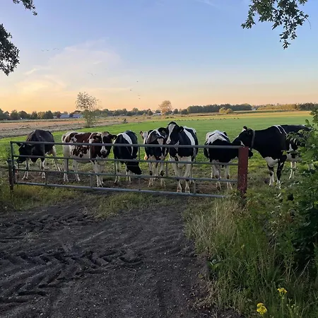 Heerlijk-huisje * Zandschel